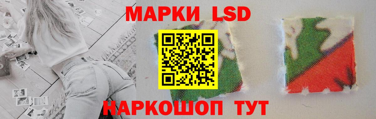 ГАШИШ Сокол