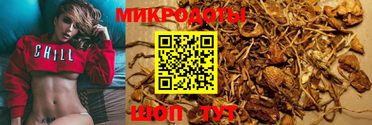 Сокол  Псилоцибиновые грибы ЛСД  Вход с VPN 